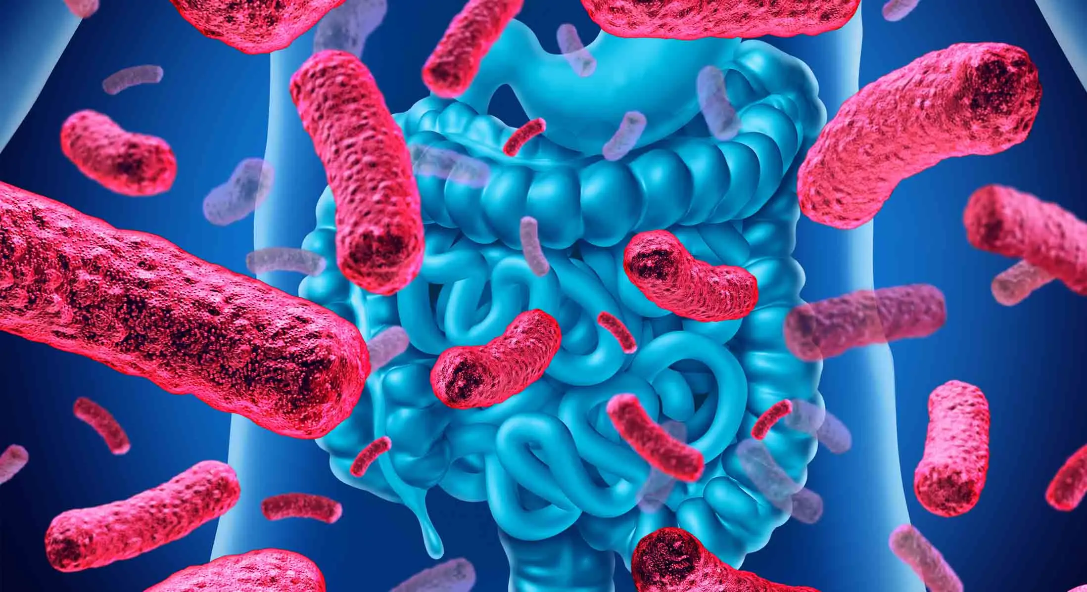 probioticos farmacia